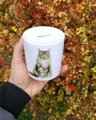 💰 Spořte stylově – a po svém! Máte doma mazlíčka, oblíbený citát nebo fotku, která vám vždy zlepší den? Nechte si ji...